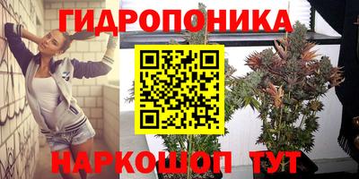эйфоретик Сланцы