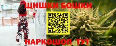 прущие грибы Северобайкальск